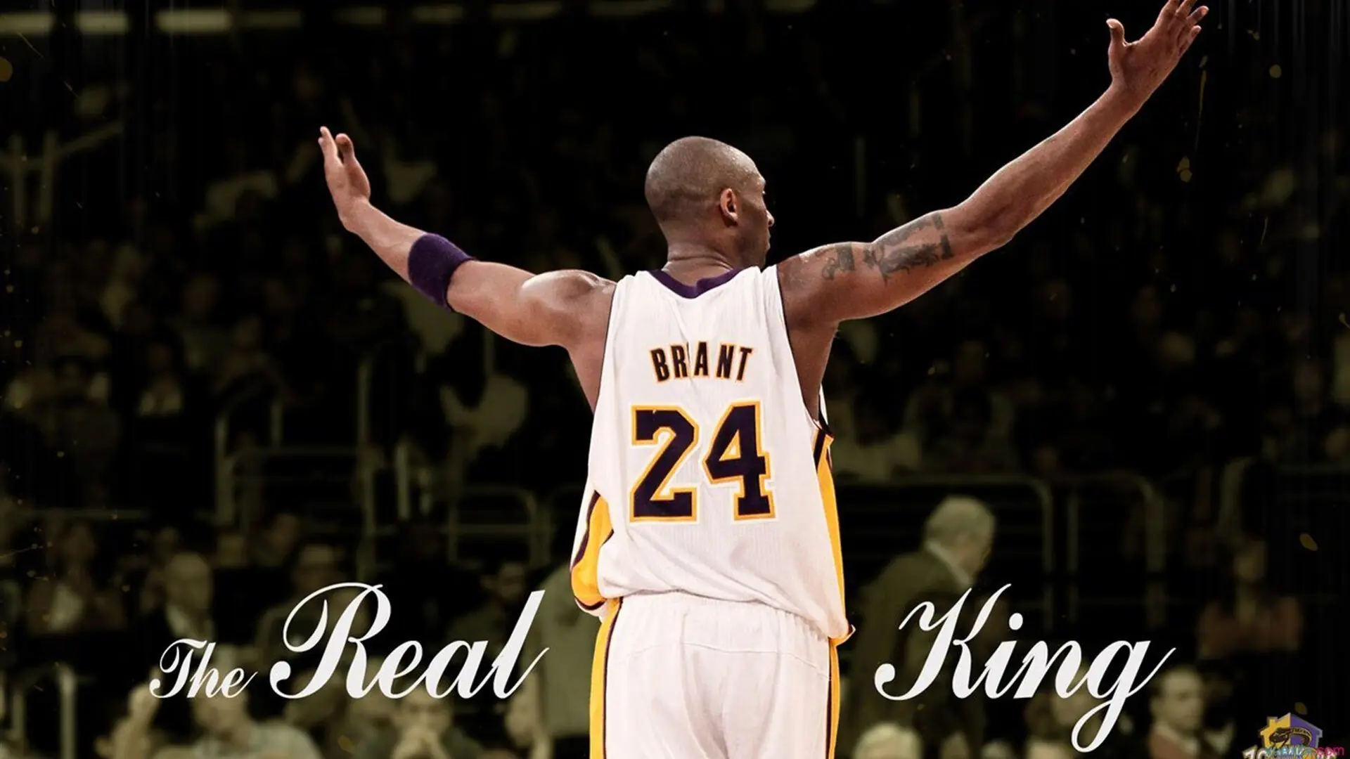 队友默契：完美配合背后的秘密战术，队友默契的句子